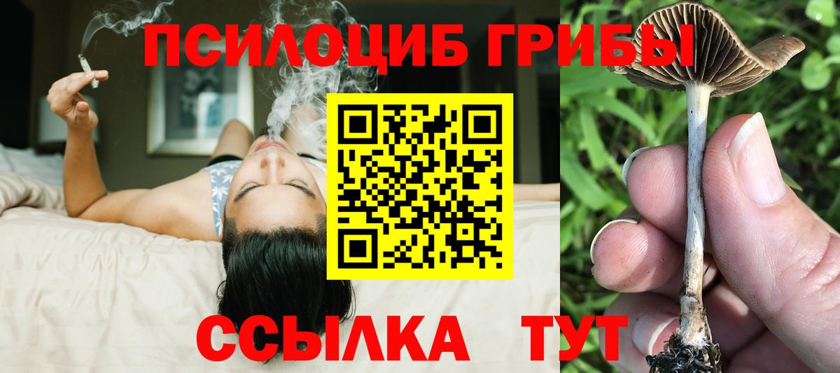 Галлюциногенные грибы прущие грибы  Галлюциногенные грибы Psilocybine cubensis  Вход с VPN  Камышлов 